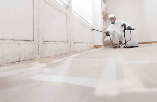 24/7 Emergency Commercial Mold Remediation experts in Chelsea, MI