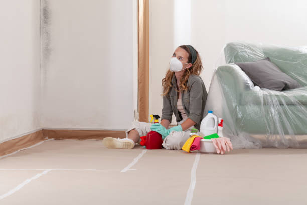 Reliable Commercial Mold Remediation contractor in Chelsea, MI by WQB Mold Removal